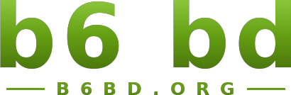 b6 bd logo